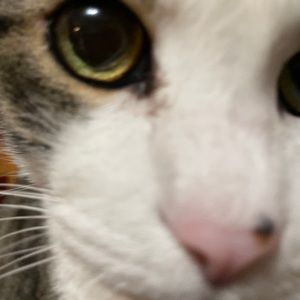 Meet your Posher, Meaghan